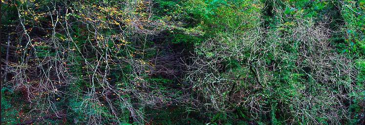 Pano 04_11_09n01.jpg